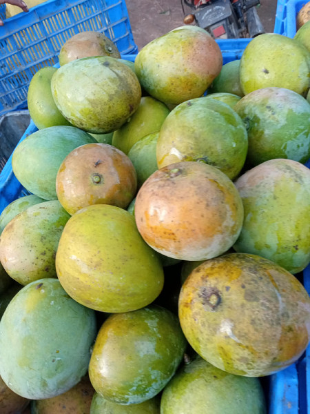 হাড়িভাঙ্গা আম